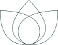 Logo media